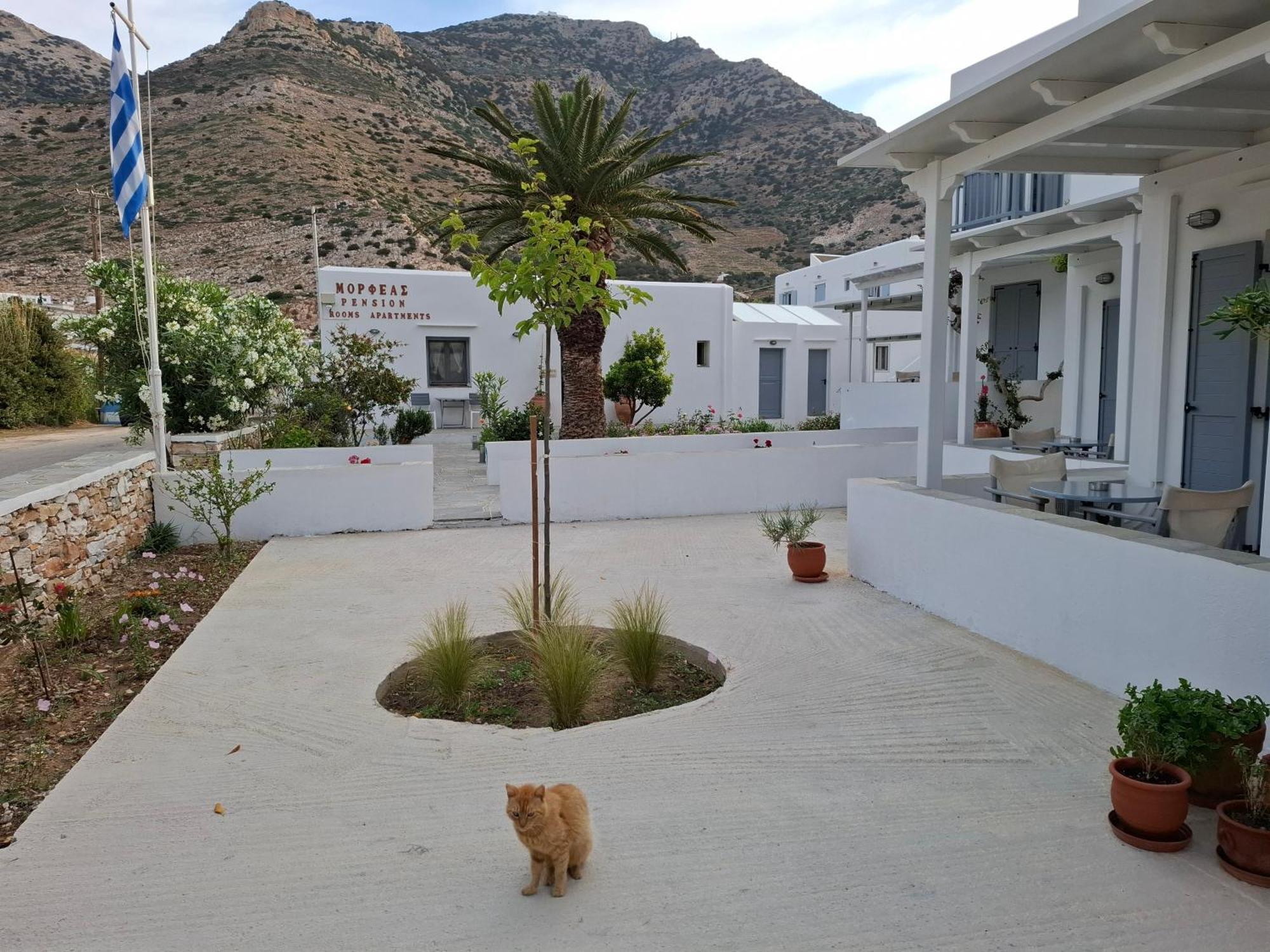 Morpheas Pension Rooms & Apartments Kamáresz Kültér fotó
